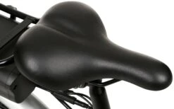 Assist Step-Thru Hybrid Electric Bike 2021 -Carrera Store 137310f