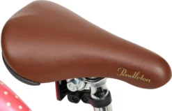 Pendleton Hanberry Kids Bike - 20" Wheel -Carrera Store 148774f scaled