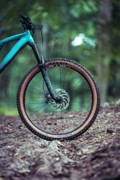 Boardman MTR 9.0 Mens Mountain Bike - M, L, XL Frames -Carrera Store 371142m