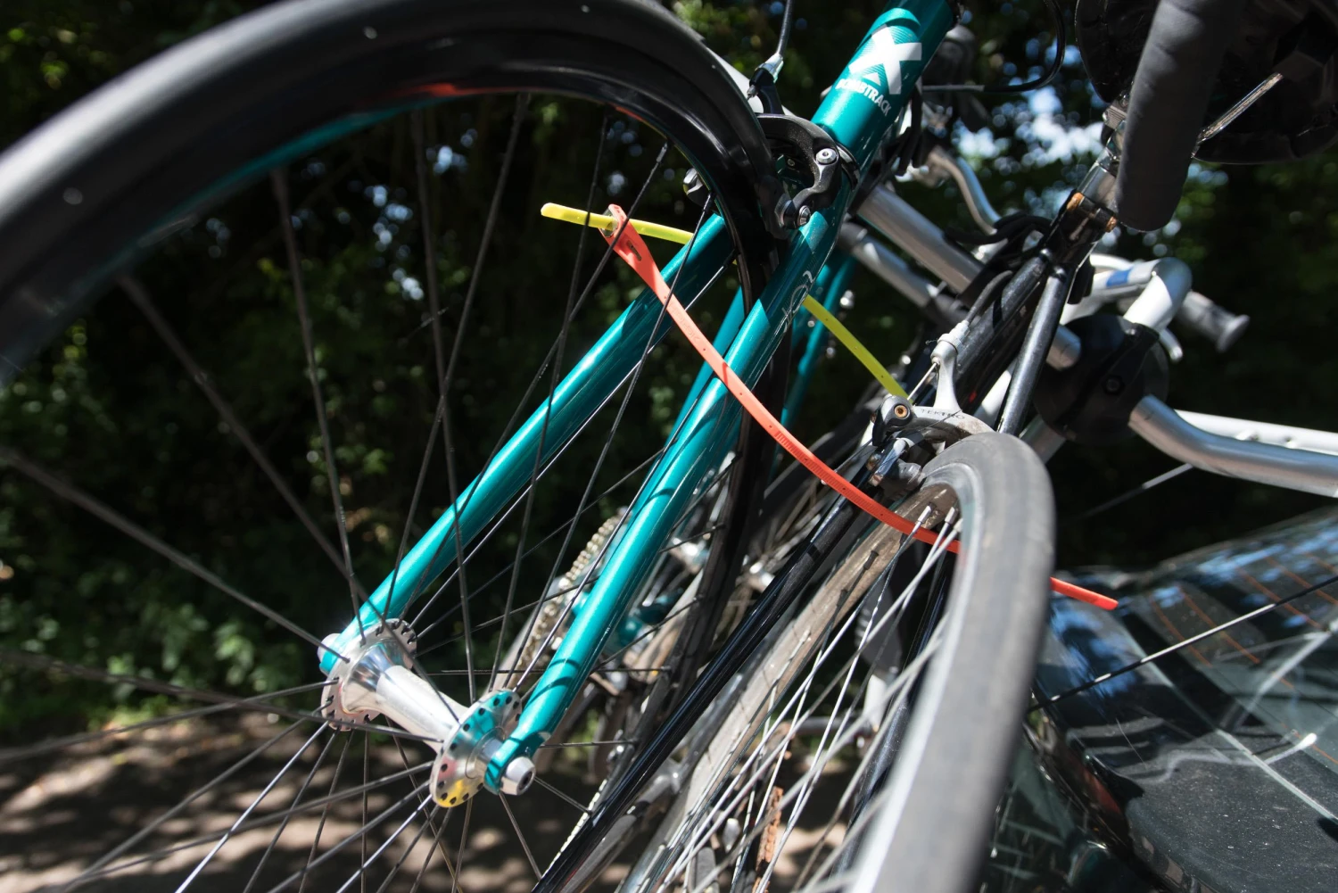 HipLok Z-Lok Armoured Reuseable Tie2 Pack - Lime 5 HipLok Z-Lok Armoured Reuseable Tie2 Pack - Lime - Image 5