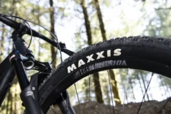 Voodoo Bizango Mens Mountain Bike - S, M, L, XL Frames -Carrera Store 452670f scaled