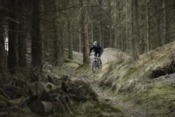 Voodoo Horde Mens Mountain Bike - S, M, L, XL Frames -Carrera Store 452710b scaled