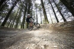 Voodoo Wazoo+ Mens Mountain Bike - M, L Frames 10 Voodoo Wazoo+ Mens Mountain Bike - M, L Frames -Carrera Store 452830d