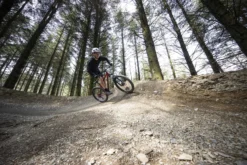 Voodoo Wazoo+ Mens Mountain Bike - M, L Frames -Carrera Store 452830d scaled