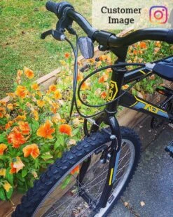 Indi ATB 1 Mens Mountain Bike - L Frame 14 Indi ATB 1 Mens Mountain Bike - L Frame -Carrera Store 588217y