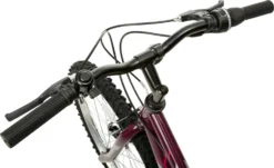 Indi ATB 1 Womens Mountain Bike - M Frame -Carrera Store 588308g scaled