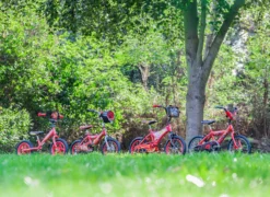 Huffy Disney Pixar Cars Lightning McQueen Kids Bike - 12" Wheel -Carrera Store 686982f