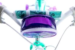 Huffy Disney Raya Kids Bike - 16" Wheel -Carrera Store 687030j