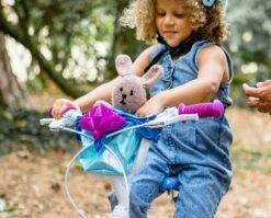 Disney Huffy Frozen Quick Connect Kids Bike - 16" Wheel -Carrera Store 711126e