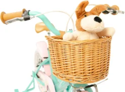 Raleigh Molli Kids Bike - Aqua - 16" Wheel -Carrera Store 751038b