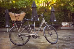 Frappe FSC 401 Electric Hybrid Bike - Grey - M Frame -Carrera Store 753950b scaled