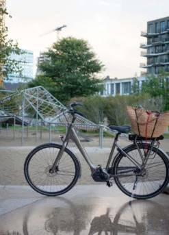 Frappe FSC 401 Electric Hybrid Bike - Grey - M Frame -Carrera Store 753950e scaled