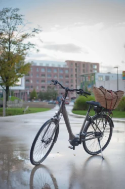 Frappe FSC 401 Electric Hybrid Bike - Grey - M Frame -Carrera Store 753950g scaled